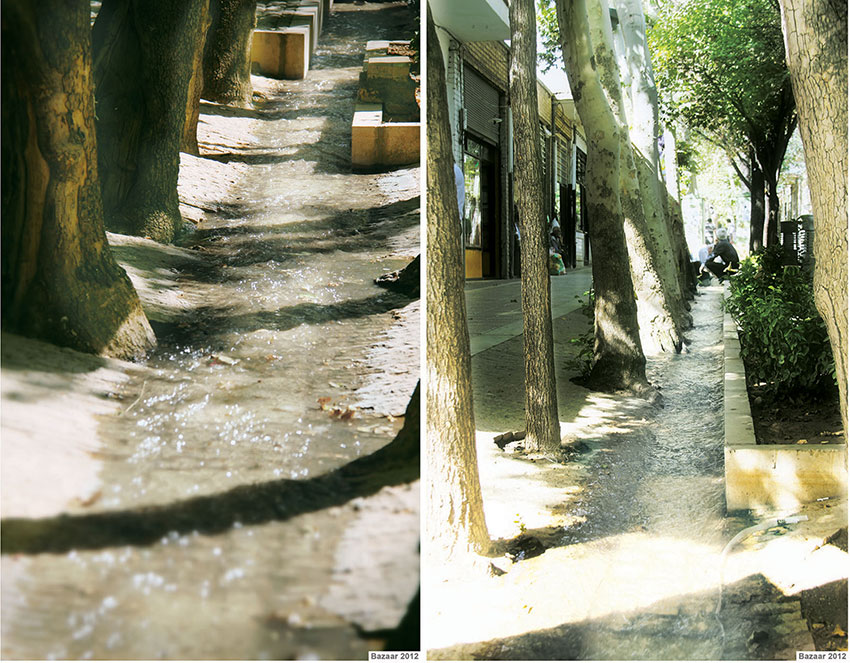 طراحی فضای سبز