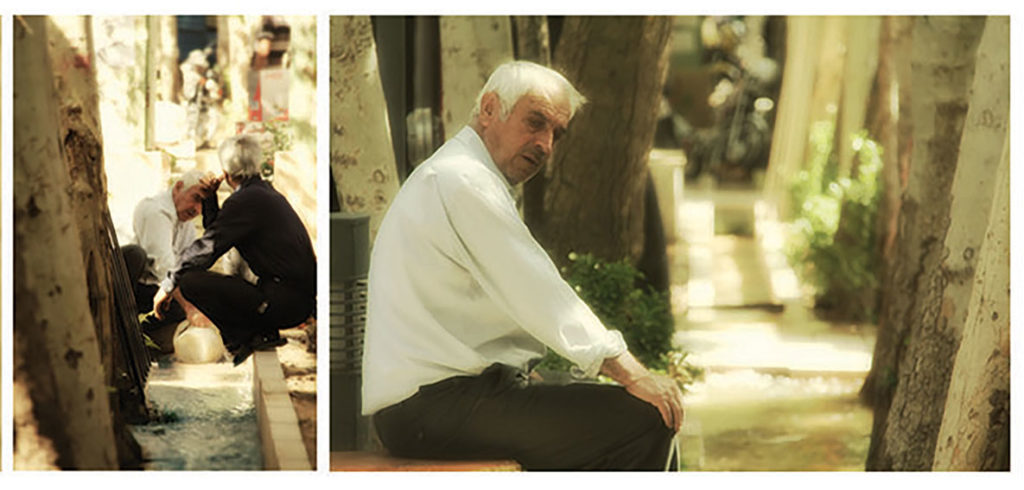 طراحی فضای سبز